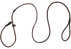 real leather slip dog leash for small medium dogs puppies lightweight thin but sturdy adjustable slip lead dog leash soft and slim 5 ft x 1/5 inch (small(5 ft x 1/5 inch))