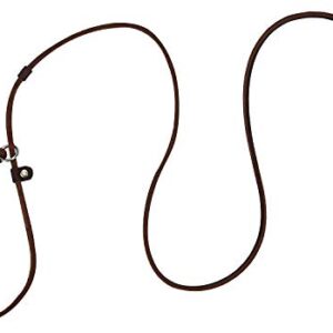 Real Leather Slip Dog Leash for Small Medium Dogs Puppies Lightweight Thin but Sturdy Adjustable Slip Lead Dog Leash Soft and Slim 5 ft x 1/5 inch (Small(5 ft x 1/5 inch))