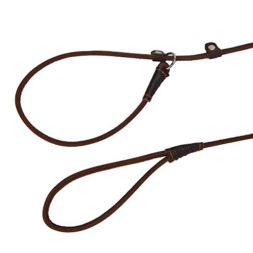 Real Leather Slip Dog Leash for Small Medium Dogs Puppies Lightweight Thin but Sturdy Adjustable Slip Lead Dog Leash Soft and Slim 5 ft x 1/5 inch (Small(5 ft x 1/5 inch))