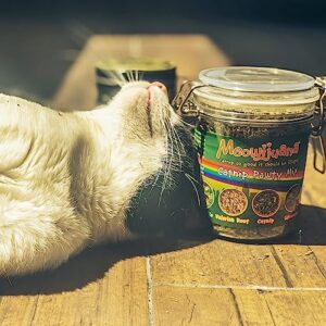 Meowijuana | Catnip Pawty Mix | Organic | Dried Premium 7 Herb Blend | High Potency | Perfect for Cat Toys | Grown in The USA | Feline and Cat Lover Approved