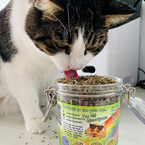 Meowijuana | Catnip Pawty Mix | Organic | Dried Premium 7 Herb Blend | High Potency | Perfect for Cat Toys | Grown in The USA | Feline and Cat Lover Approved