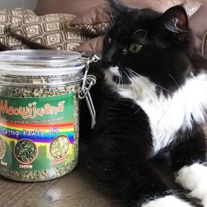 Meowijuana | Catnip Pawty Mix | Organic | Dried Premium 7 Herb Blend | High Potency | Perfect for Cat Toys | Grown in The USA | Feline and Cat Lover Approved