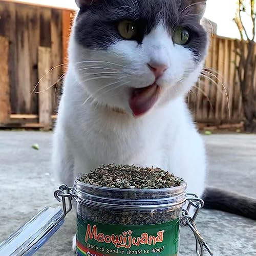 Meowijuana | Catnip Pawty Mix | Organic | Dried Premium 7 Herb Blend | High Potency | Perfect for Cat Toys | Grown in The USA | Feline and Cat Lover Approved