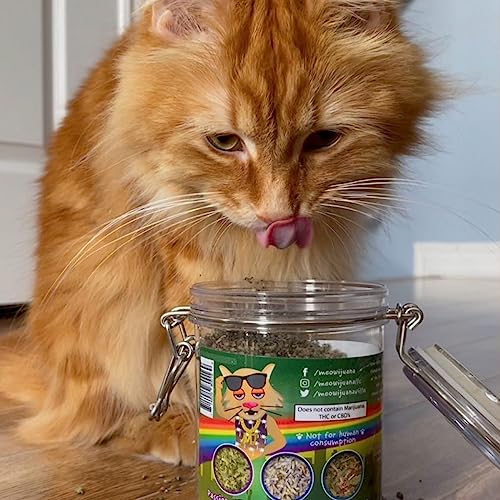 Meowijuana | Catnip Pawty Mix | Organic | Dried Premium 7 Herb Blend | High Potency | Perfect for Cat Toys | Grown in The USA | Feline and Cat Lover Approved