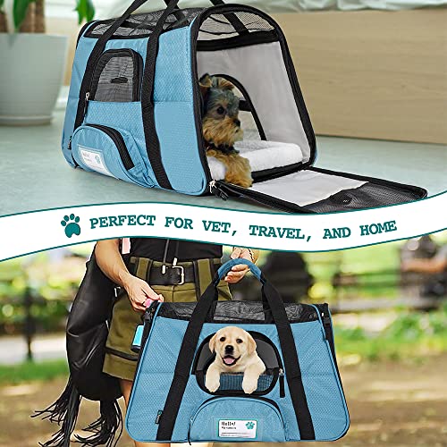 PetAmi Premium Airline Approved Soft-Sided Pet Travel Carrier | Ideal for Small - Medium Sized Cats, Dogs, and Pets | Ventilated, Comfortable Design with Safety Features (Large, Baby Blue)