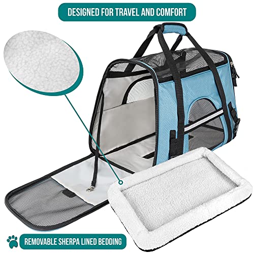 PetAmi Premium Airline Approved Soft-Sided Pet Travel Carrier | Ideal for Small - Medium Sized Cats, Dogs, and Pets | Ventilated, Comfortable Design with Safety Features (Large, Baby Blue)