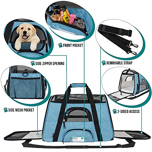 PetAmi Premium Airline Approved Soft-Sided Pet Travel Carrier | Ideal for Small - Medium Sized Cats, Dogs, and Pets | Ventilated, Comfortable Design with Safety Features (Large, Baby Blue)