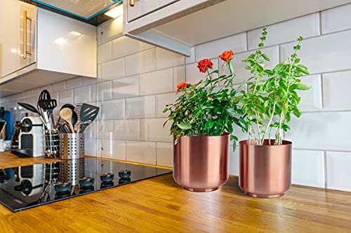 Vixdonos Copper-Tone Metal Succulent Planter Pots, 6/5.2 Inch Plant Pots Pack 2 Flower Pots Indoor with Drainage Hole