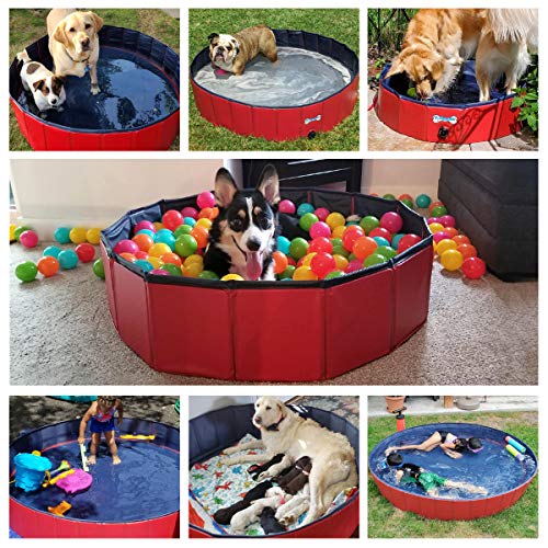 V-HANVER Foldable Dog Pool Collapsible Heavy Duty PVC Pet Pool Bath Tub for XLarge Dogs and Puppies, 63 X 12 inch