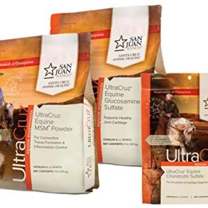 UltraCruz Equine MSM, Glucosamine Sulfate and Chondroitin Sulfate Horse Joint Supplement Bundle, 4 lb Each MSM and Glucosamine, 1 lb Chondroitin, Powders