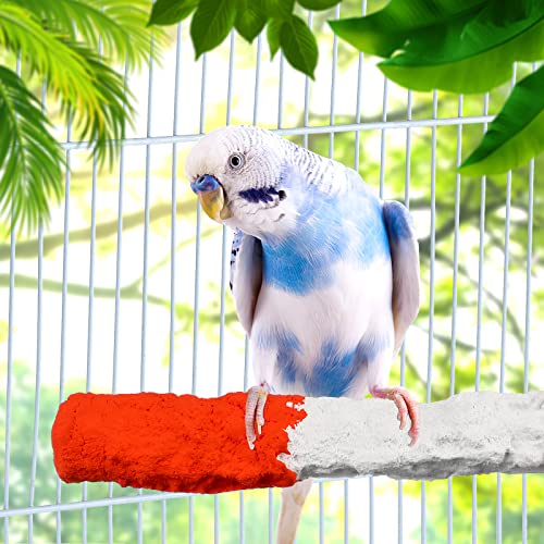 POPETPOP Bird Perches for Parrots-Cuttlebone Calcium Perch Standing Cuttlebone Holder for Birds Cage Accessories