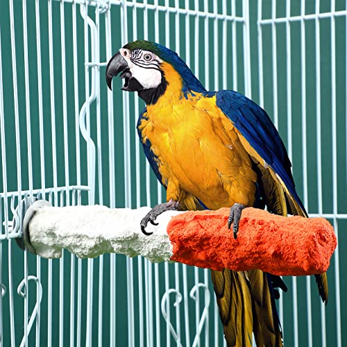 POPETPOP Bird Perches for Parrots-Cuttlebone Calcium Perch Standing Cuttlebone Holder for Birds Cage Accessories