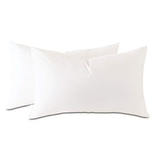 plankroad home décor 15x21 hypoallergenic luxury 100% small feather rectangular pillow insert, 100% cambric cotton shell, never vacuum-packed, odorless, made in usa, set of 2