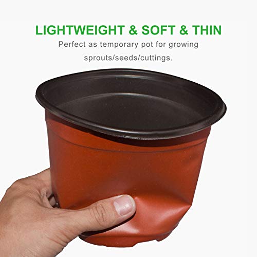 GROWNEER 60 Packs 6 Inches Plastic Plant Nursery Pots with 15 Pcs Plant Labels, Seed Starting Pot Flower Plant Container for Succulents, Seedlings, Cuttings, Transplanting