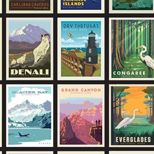 national parks posters panel by anderson design group collection from riley blake designs 100% cotton quilt fabric c8780r-black - 20" x 42"