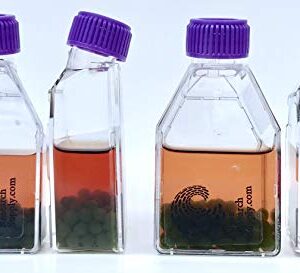 Algae Research and Supply: Algae Beads (Ready-to-go Algae Beads in Indicator- snap vials (x100))