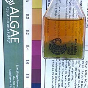 Algae Research and Supply: Algae Beads (Ready-to-go Algae Beads in Indicator- snap vials (x100))