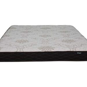 Parklane Mattresses Traveler 6 Inch Foam RV/Camper/Trailer Mattress (Short Queen - 60"x75")