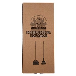 Bodhi Dog Metal Long Handle Tray and Rake Pooper Scooper | Perfect for Small, Medium, Large, XL Pets - Great for Grass, Street and Gravel