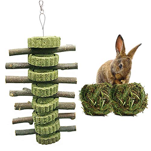 Tfwadmx 3 Pcs Rabbit Chew Toys Natural Timothy Grass Balls Rabbit Organic Apple Wood Sticks Improves Dental Health for Chinchilla Rat Guinea Pig Hamsters Gerbil