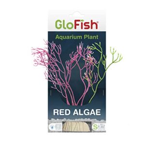 glofish plant aquarium decor