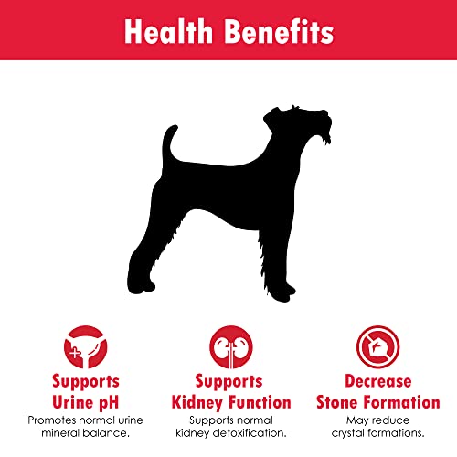 K-Plus Potassium Gluconate Renal Gel Plus Cranberry and EPA for Dogs and Cats - Veterinarian Approved Renal Supplement - Supports Potassium Balance - 5 oz