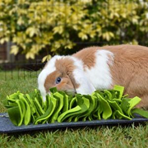 Rosewood Snuffle Forage MAT for Small Animals