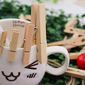 Mini Natural Wooden Clothes Pins, Sturdy Small Wood Clothespin, Photo Paper Peg Pin, Craft Clips for Home School Arts Crafts Decoration, DIY Screen 25mm - 100 Pack