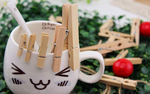 Mini Natural Wooden Clothes Pins, Sturdy Small Wood Clothespin, Photo Paper Peg Pin, Craft Clips for Home School Arts Crafts Decoration, DIY Screen 25mm - 100 Pack