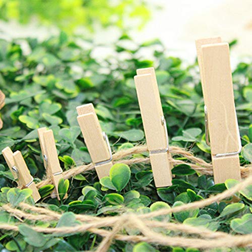 Mini Natural Wooden Clothes Pins, Sturdy Small Wood Clothespin, Photo Paper Peg Pin, Craft Clips for Home School Arts Crafts Decoration, DIY Screen 25mm - 100 Pack