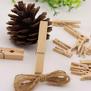 Mini Natural Wooden Clothes Pins, Sturdy Small Wood Clothespin, Photo Paper Peg Pin, Craft Clips for Home School Arts Crafts Decoration, DIY Screen 25mm - 100 Pack