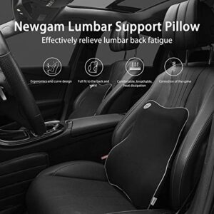 Newgam Lumbar Support Pillow,Pure Memory Foam Back Cushion Orthopedic Backrest with Breathable 3D Mesh for Car Seat,Office Chair,Computer Chair,Wheelchair and Recliner.Ergonomic Design (Grey Edge)