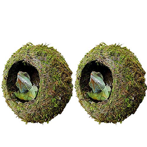 kathson 2pcs 6" Reptile Moss Cave Hide for Humidity,Mossy Hideout for Turtle Crested Gecko Spider Lizard Frog Chameleon