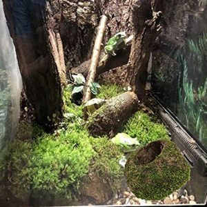 kathson 2pcs 6" Reptile Moss Cave Hide for Humidity,Mossy Hideout for Turtle Crested Gecko Spider Lizard Frog Chameleon