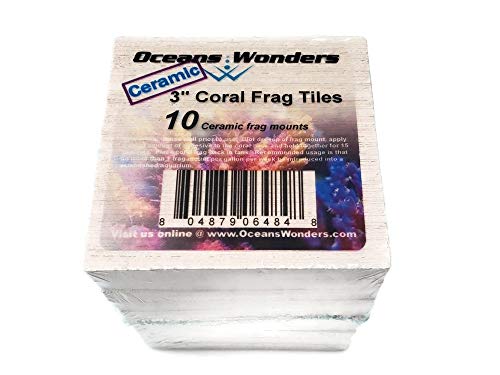 Oceans Wonders Ceramic XXL 3" Coral Frag Tiles 10pc