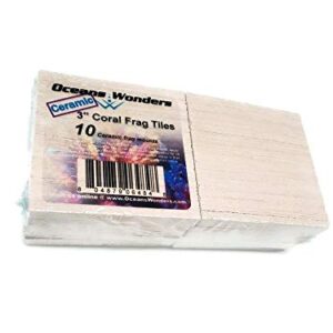 Oceans Wonders Ceramic XXL 3" Coral Frag Tiles 10pc