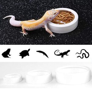 ELDETU Reptile Food Water Dish Worm Bowl Mealworm Feed Feeder Mini Reptile Food Bowl Ceramics Made (S)