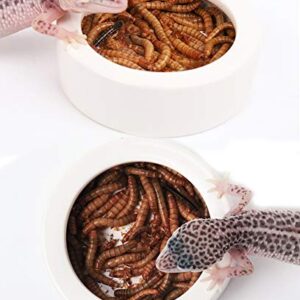 ELDETU Reptile Food Water Dish Worm Bowl Mealworm Feed Feeder Mini Reptile Food Bowl Ceramics Made (S)