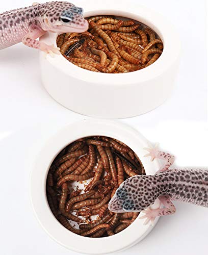 ELDETU Reptile Food Water Dish Worm Bowl Mealworm Feed Feeder Mini Reptile Food Bowl Ceramics Made (S)