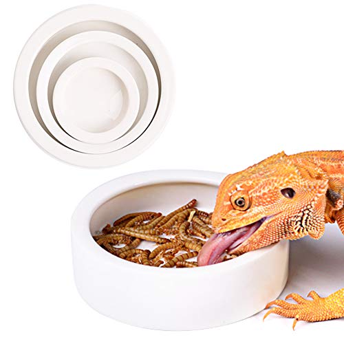 ELDETU Reptile Food Water Dish Worm Bowl Mealworm Feed Feeder Mini Reptile Food Bowl Ceramics Made (S)