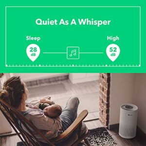 Vremi Premium True HEPA Air Purifier for Large Rooms - Removes 99.97% of Airborne Particles with H13, Activated Carbon and 3-Stage Filtration - Have A Great Air Day