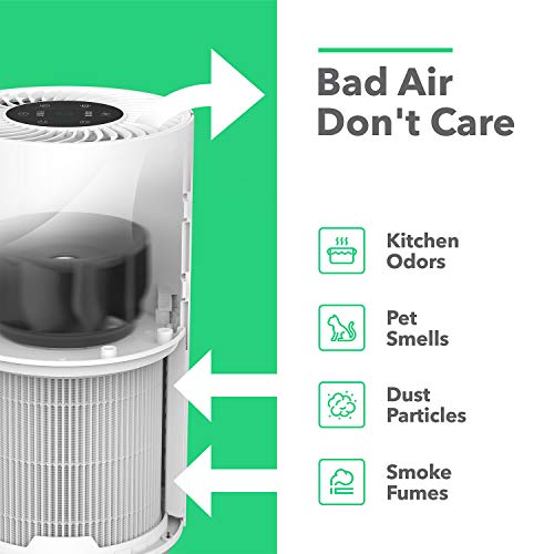 Vremi Premium True HEPA Air Purifier for Large Rooms - Removes 99.97% of Airborne Particles with H13, Activated Carbon and 3-Stage Filtration - Have A Great Air Day