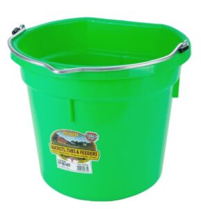 plastic animal feed bucket (lime green) - little giant - flat back plastic feed bucket with metal handle (20 quarts / 5 gallons) (item no. p20fblimegrn6)