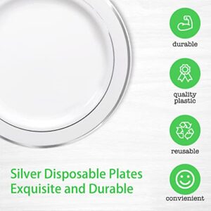 WELLIFE Silver Plastic Dinner Plates 72 Pieces, 10.25" Silver Disposable Plates, Premium Hard Plastic Lunch Plates, Ideal for Wedding, Parties