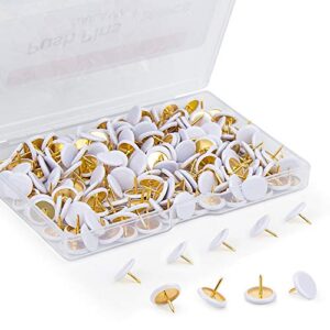 200PCS Decorative Thumb Tacks, SAILAVY Steel Round Head Push Pins for Home, School, Office, Map, Photo Wall, Cork Board Bulletin Board (White)