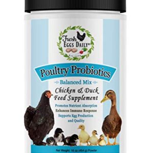 FRESH EGGS DAILY Poultry Probiotics Feed Supplement Vitamins for Backyard Chickens and Ducks 1LB