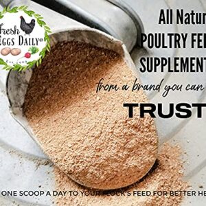 FRESH EGGS DAILY Poultry Probiotics Feed Supplement Vitamins for Backyard Chickens and Ducks 1LB