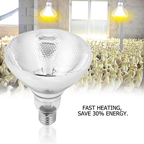 REALM-ARK 1Pc Pig Piglet Thick Heat Lamp Clear Hard Glass Explosion Proof Infrared Heating Lamp Waterproof Explosion-Proof Light Bulb Dot Surface(200W)