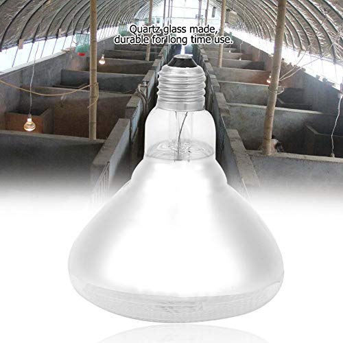 REALM-ARK 1Pc Pig Piglet Thick Heat Lamp Clear Hard Glass Explosion Proof Infrared Heating Lamp Waterproof Explosion-Proof Light Bulb Dot Surface(200W)