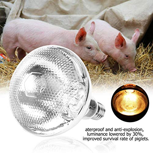 REALM-ARK 1Pc Pig Piglet Thick Heat Lamp Clear Hard Glass Explosion Proof Infrared Heating Lamp Waterproof Explosion-Proof Light Bulb Dot Surface(200W)